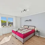 Bat Solutions - Alles Was Ein Nicht Bietet - 5 40 Bis 120 Qm Fuer Bis Zu 29 Personen - 5-raum-apartment Barrierefrei - 60 Qm Balkon Mit Blick Bis Luxemburg - Einzeln Bis Komplett Buchbar - 3 Min Zur A64 Trierweiler