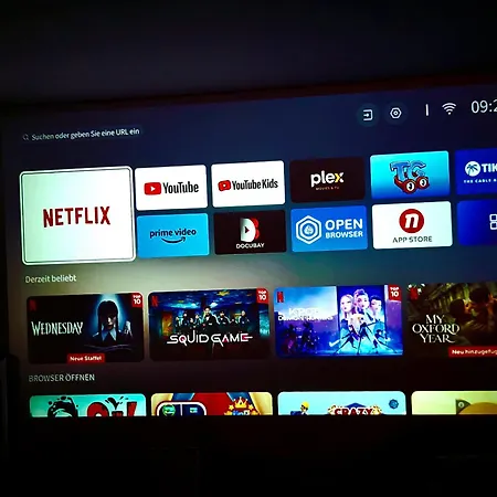 15 Min Center Terrace Bbq Luxury Cinem Quiet アパート Trierweiler