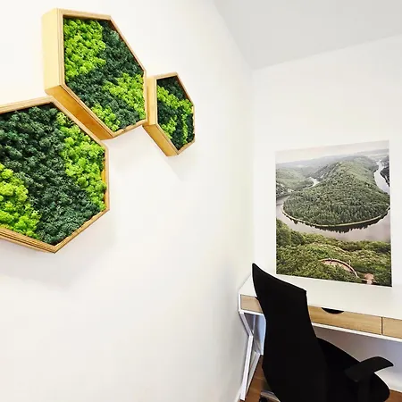 Bat Solutions - Alles Was Ein Nicht Bietet - 5 40 Bis 120 Qm Fuer Bis Zu 29 Personen - 5-raum-apartment Barrierefrei - 60 Qm Balkon Mit Blick Bis Luxemburg - Einzeln Bis Komplett Buchbar - 3 Min Zur A64 Trierweiler